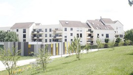 Les rapports annuels